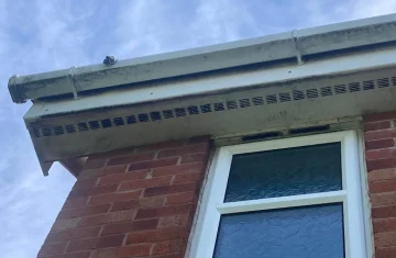 Soffit & Fascia Cleaning Our soffit and fascia cleaning service removes dirt, moss, algae, and staining to restore a bright, fresh look to your soffit & fascias. We use safe, effective methods on all our cleans across Dudley, Stourbridge, Wolverhampton, and surrounding areas